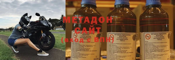 прущие грибы Алзамай