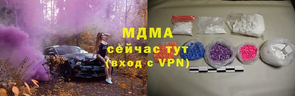 прущие грибы Алзамай