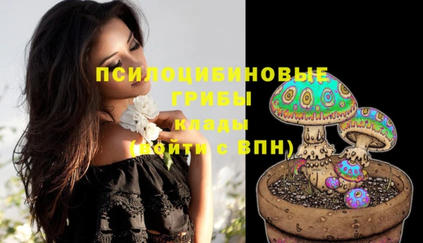 MDMA Premium VHQ Аркадак