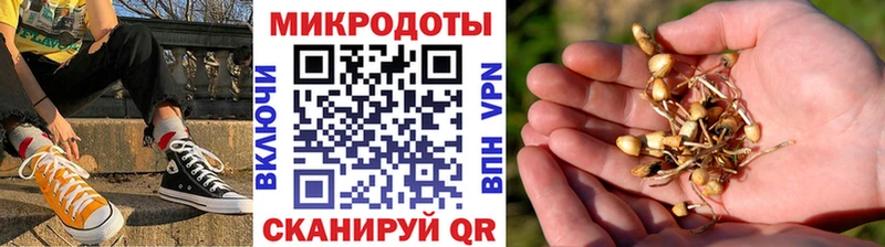 OMG как войти  Чапаевск  Галлюциногенные грибы мицелий 